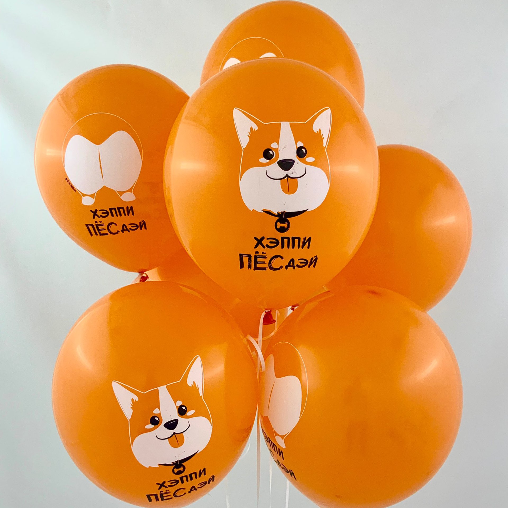 Стаканы (250 мл) Счастливый корги, 6 шт.