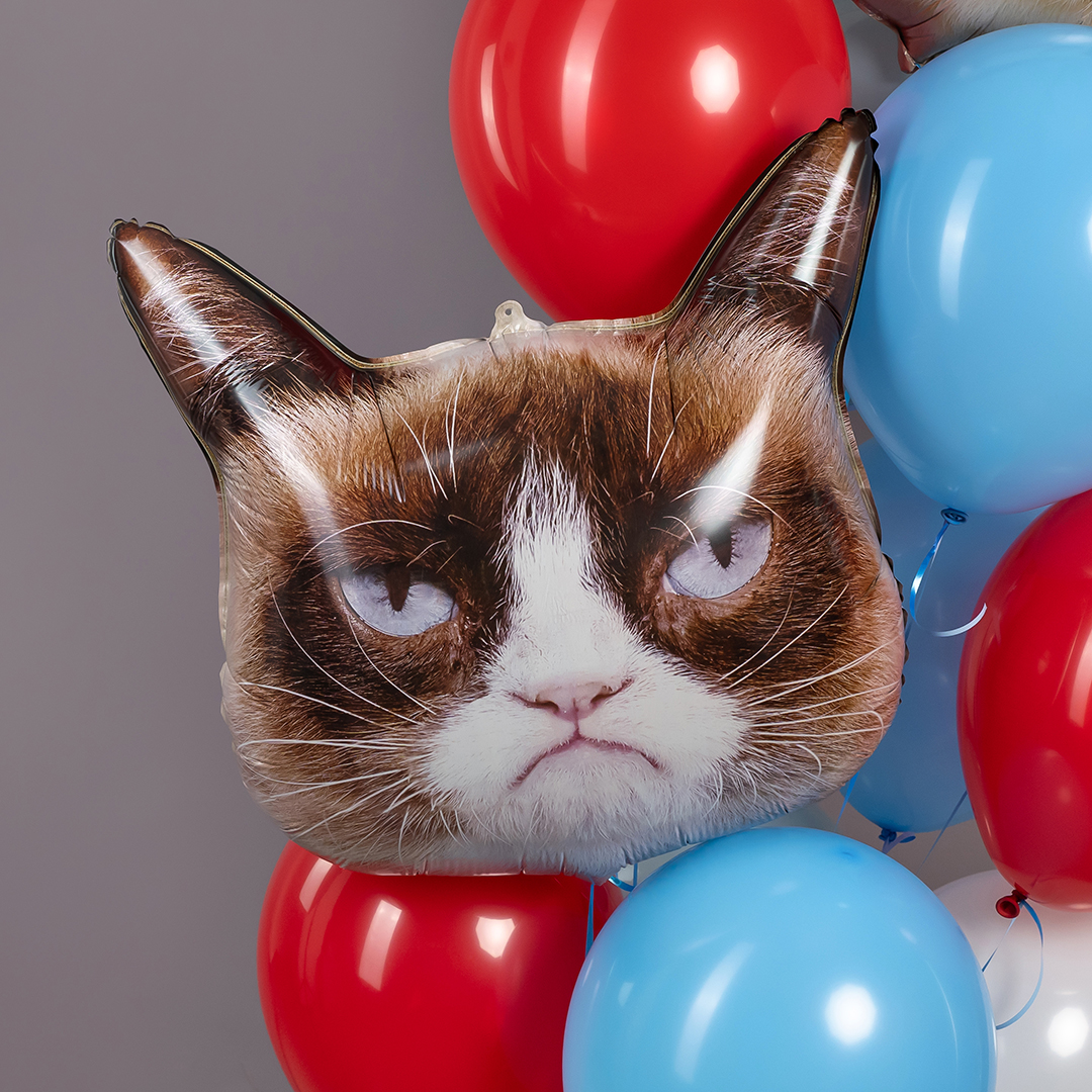 Шар (26''/66 см) Фигура, Сердитая кошка, 1 шт.