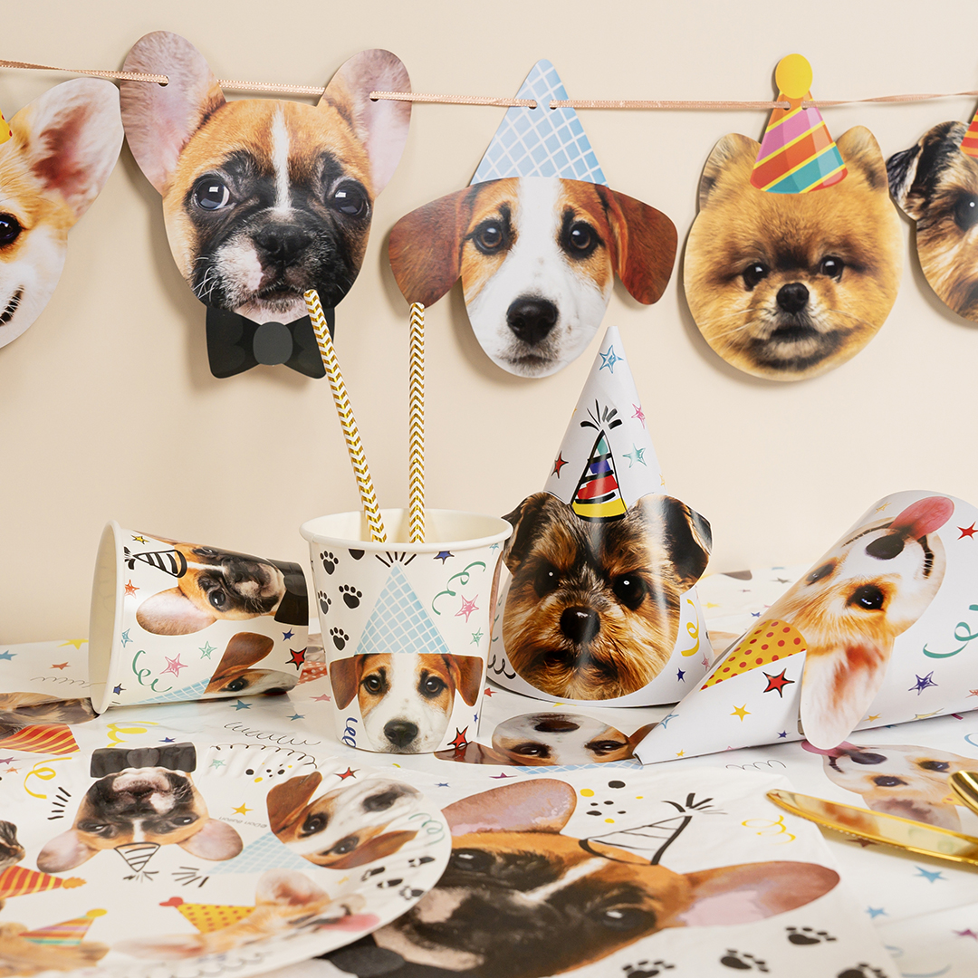Колпаки, Собачки, 16 см, 6 шт. в упак. 