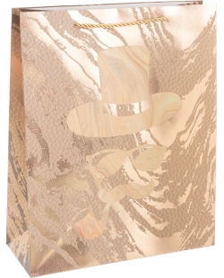 Пакет подарочный, 210гр, Мистер Икс, Дизайн №3, Металлик, 23*18*10 см, 1 шт.