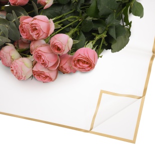 Упаковочная пленка 53мкр (0,57*0,57 м) Золотистая кайма, Прозрачный, Матовый, 20 шт.