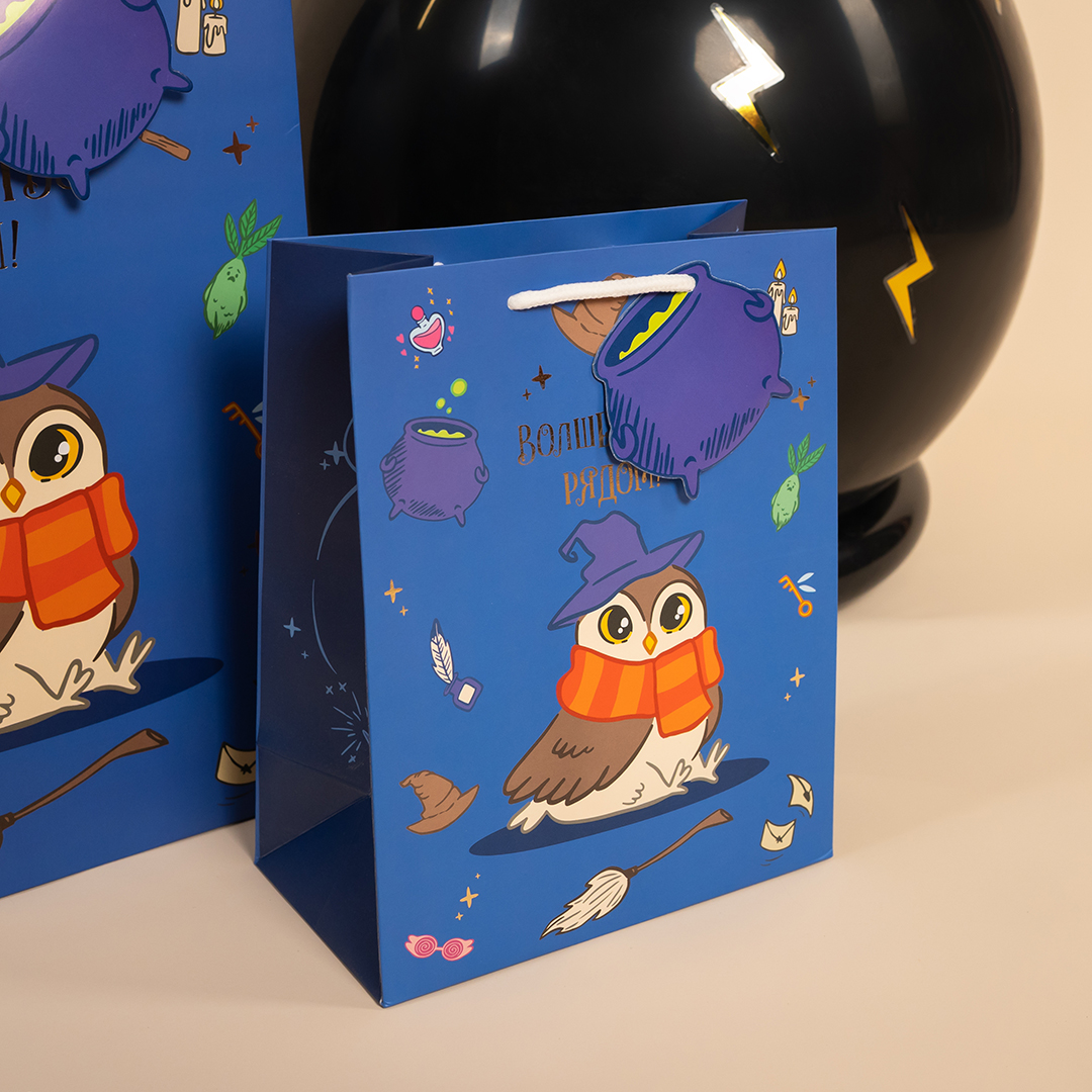 Пакет подарочный, 210гр, Волшебная школа, 32*26*12 см, 1 шт.