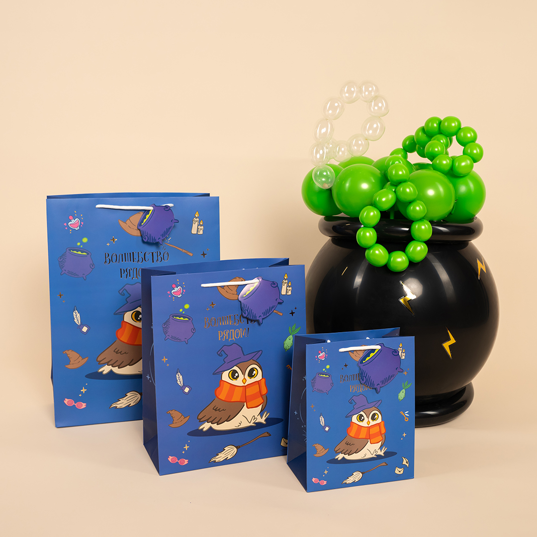 Пакет подарочный, 210гр, Волшебная школа, 32*26*12 см, 1 шт.