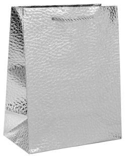 Пакет подарочный, 210гр, Текстура кожи, Дизайн №3, Серебро, Металлик, 23*18*10 см, 1 шт.