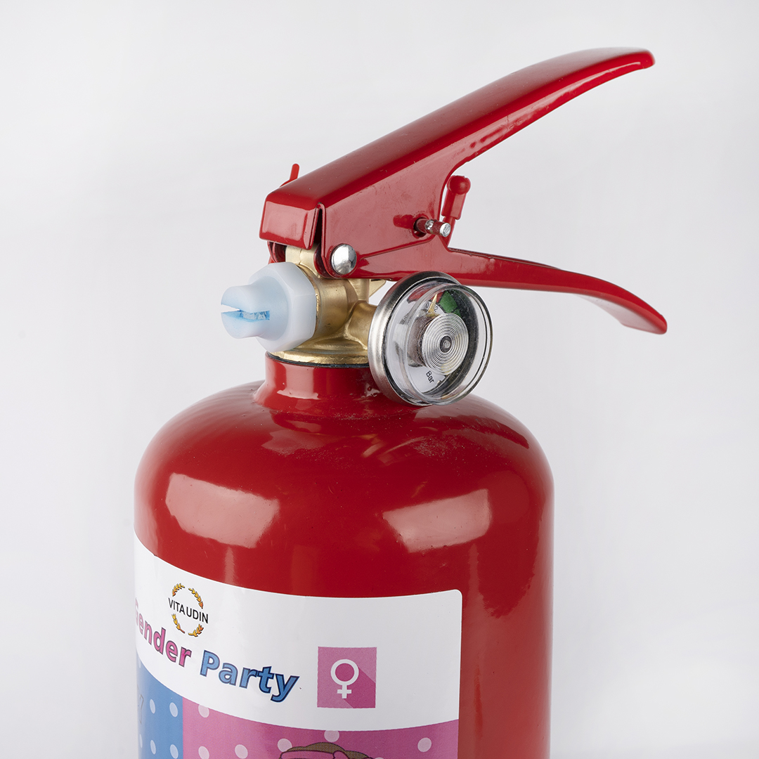 Огнетушитель с Краской Холи, Гендер Пати, Голубой, 2 л. 