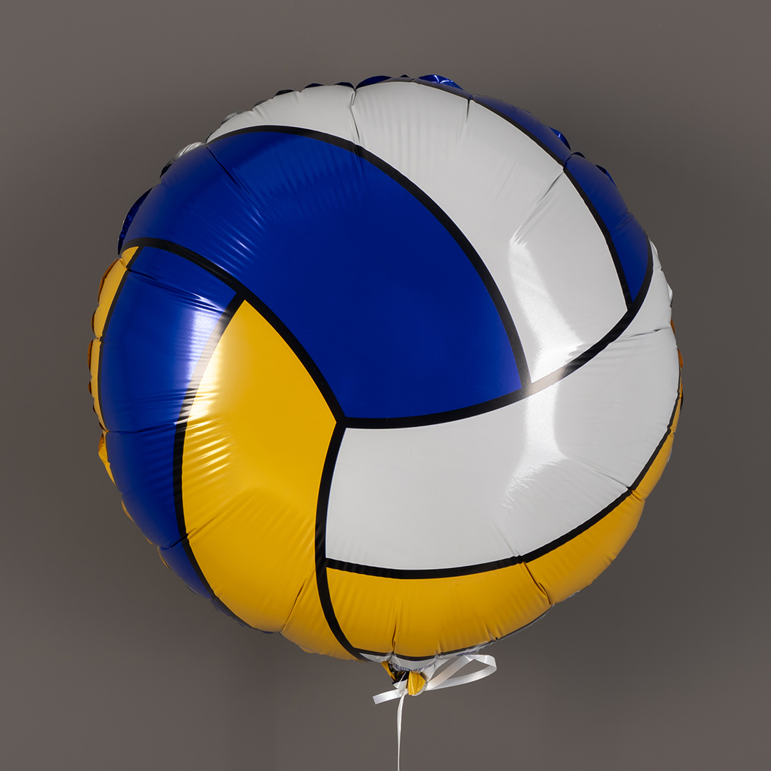 Шар (18''/46 см) Круг, Волейбольный мяч, 1 шт.