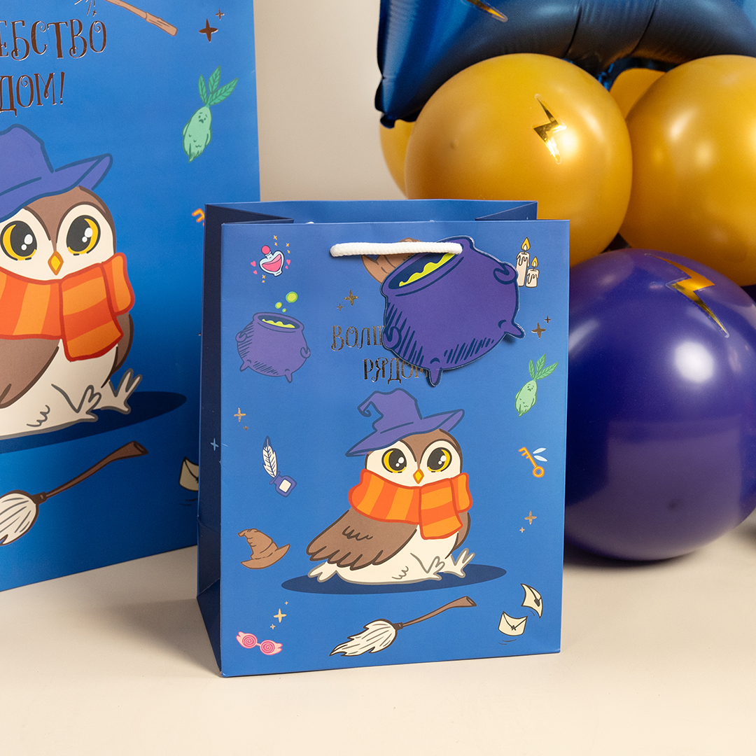 Пакет подарочный, 210гр, Волшебная школа, 23*18*10 см, 1 шт.