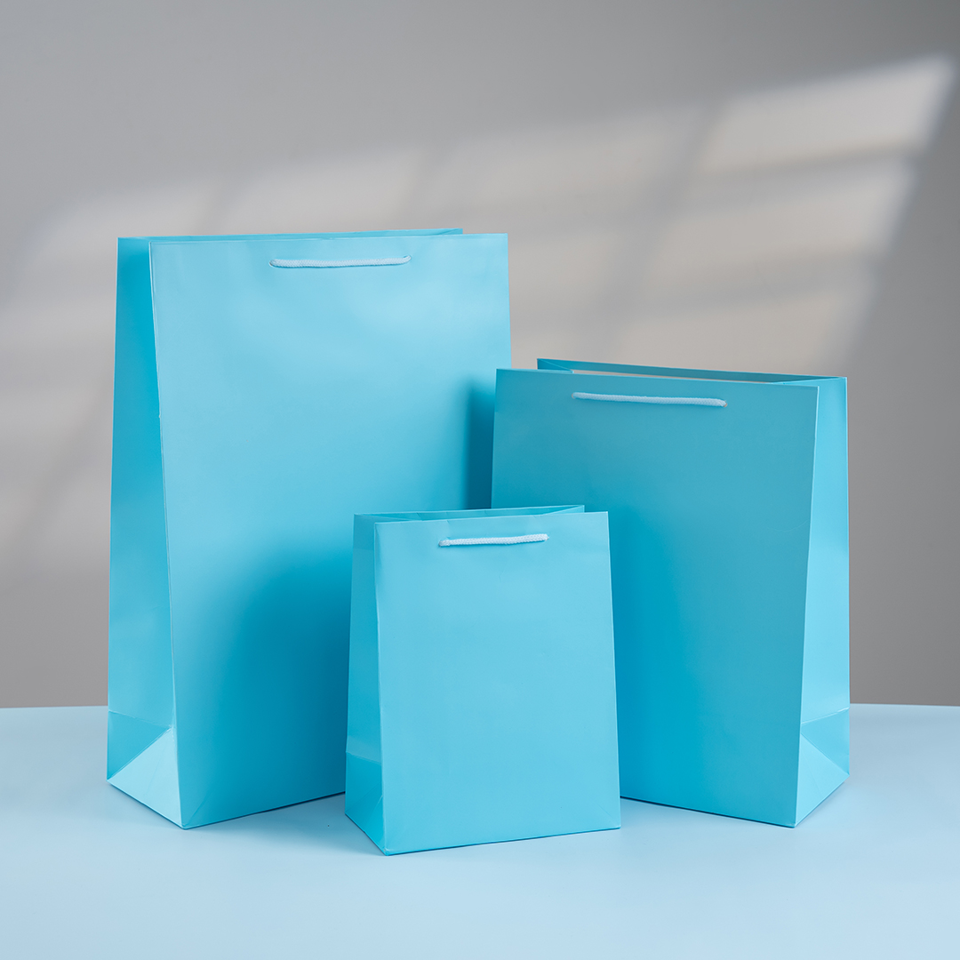 Пакет подарочный, 210гр, Классика, Голубой, 23*18*10 см, 1 шт.