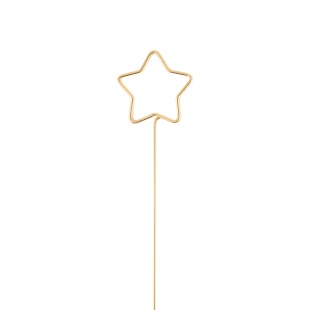 Топпер для открыток в букет, Звезда, Золото, 3*34 см, 10 шт.