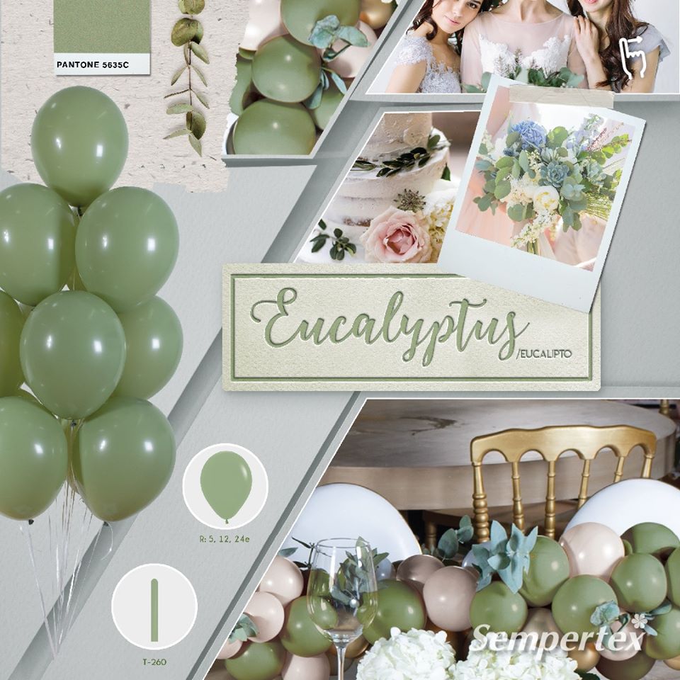 Шар (12''/30 см), Эвкалипт (027), пастель, 50 шт.