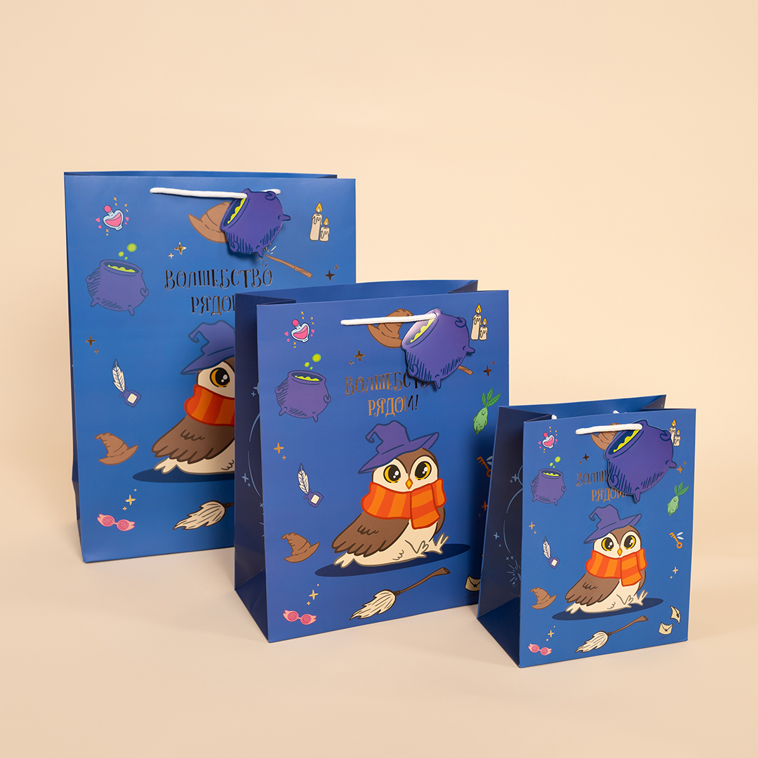 Пакет подарочный, 210гр, Волшебная школа, 32*26*12 см, 1 шт.