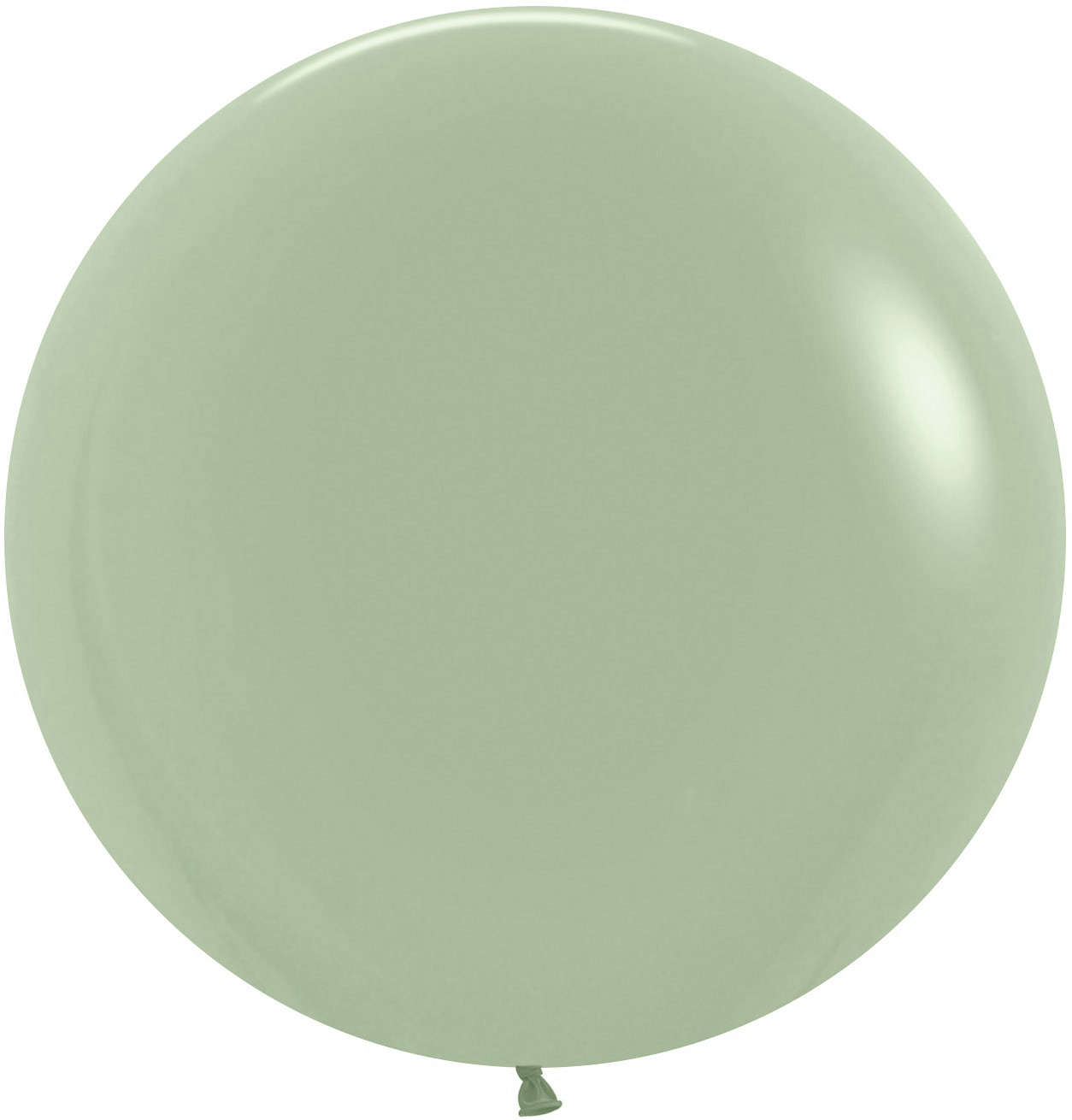 Шар (36''/91 см), Эвкалипт (027), пастель, 2 шт.