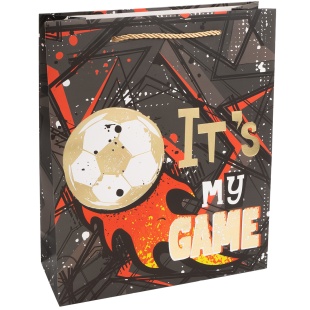 Пакет подарочный, 210гр, Граффити, Дизайн №3, Металлик, 41,5*30*12 см, 1 шт.