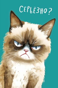 Открытка, Серьезно? (злой кот), 12,1*18,3 см, 5 шт.